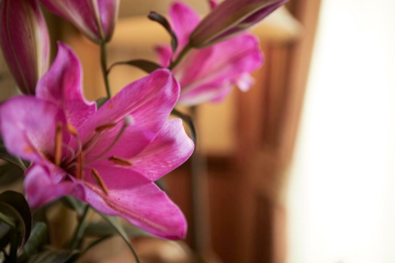 Ashburton House - B&B Скарборо Экстерьер фото